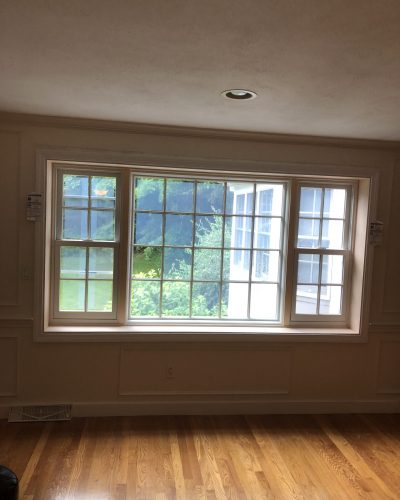 Window project